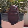Resin Animal Figurine Planter Edge Climber Hippopotamus Otter Platypus Weatherproof Animal Statue for Flower Pots Fish Tanks Aquariums Outdoor