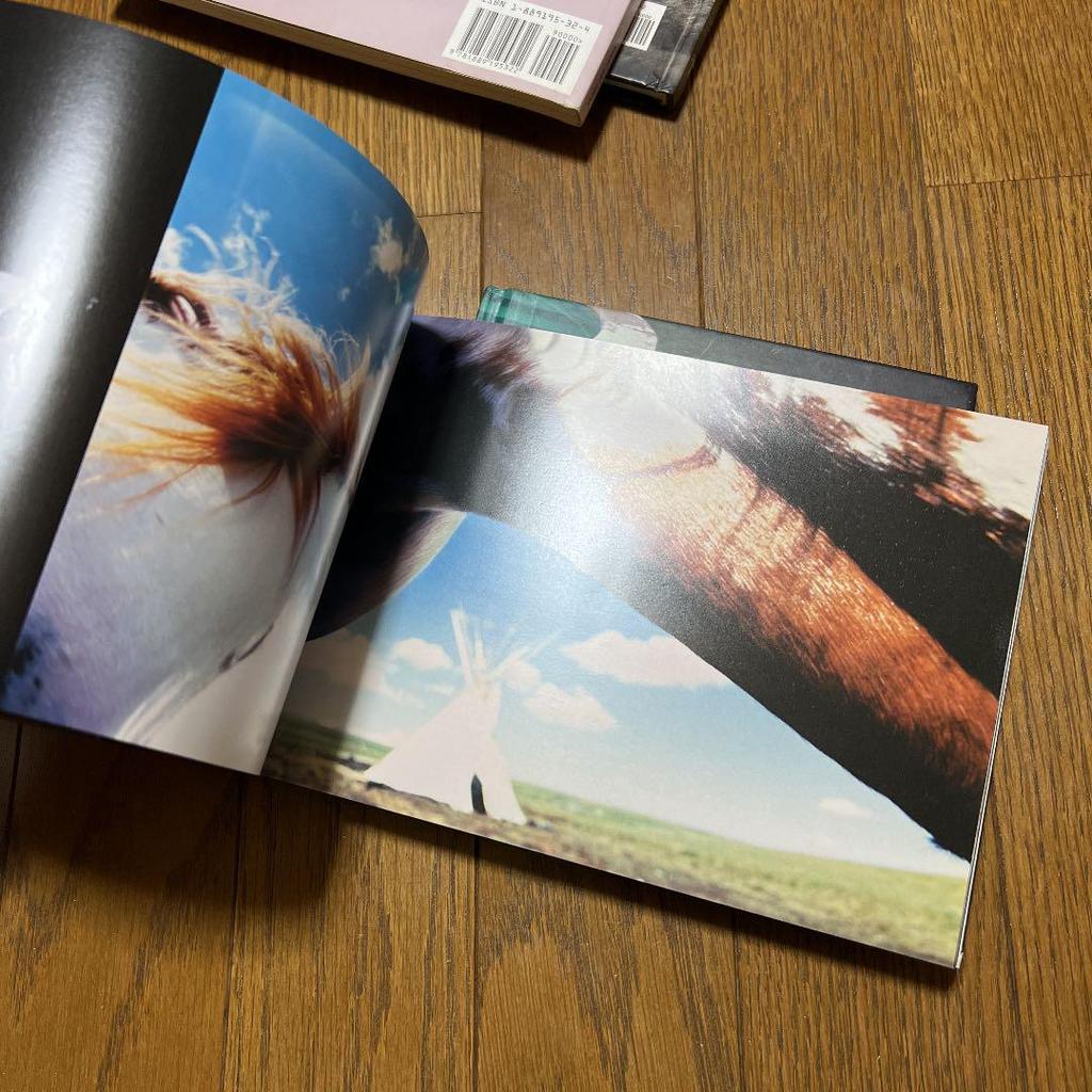 [USED] Sale Viggo Mortensen Collection 4-Book Set / Foreign Book Photo Book