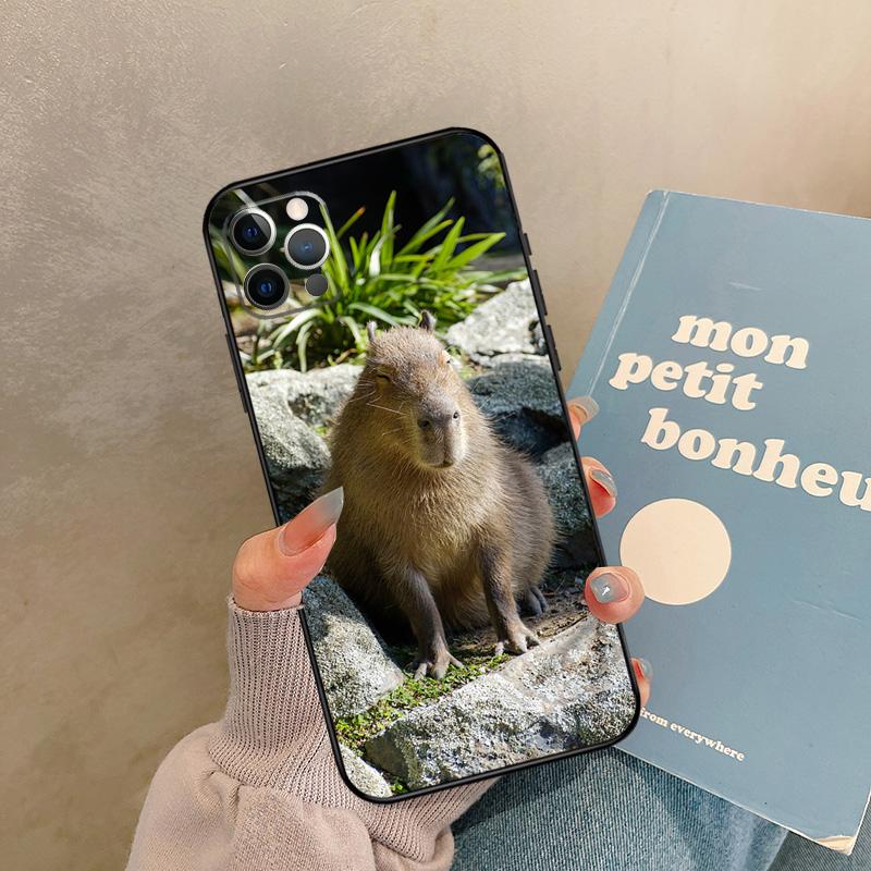 

Animal Funny Capybara Case For iPhone 17 Air 13 16 15 11 12 14 Pro Max 13 mini XR 15 16 Plus 16e Back Cover Shell iPhone 15 Plus