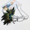 Feathers Design Half-Face Lace Mask Seductive Style Cosplay Feather Mask Fancy Prom Masquerade Masquerade Mask Costume Party