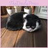 Sleeping Realistic Cat Plush Fake Fur Animal Toy Home Decor Photography Props