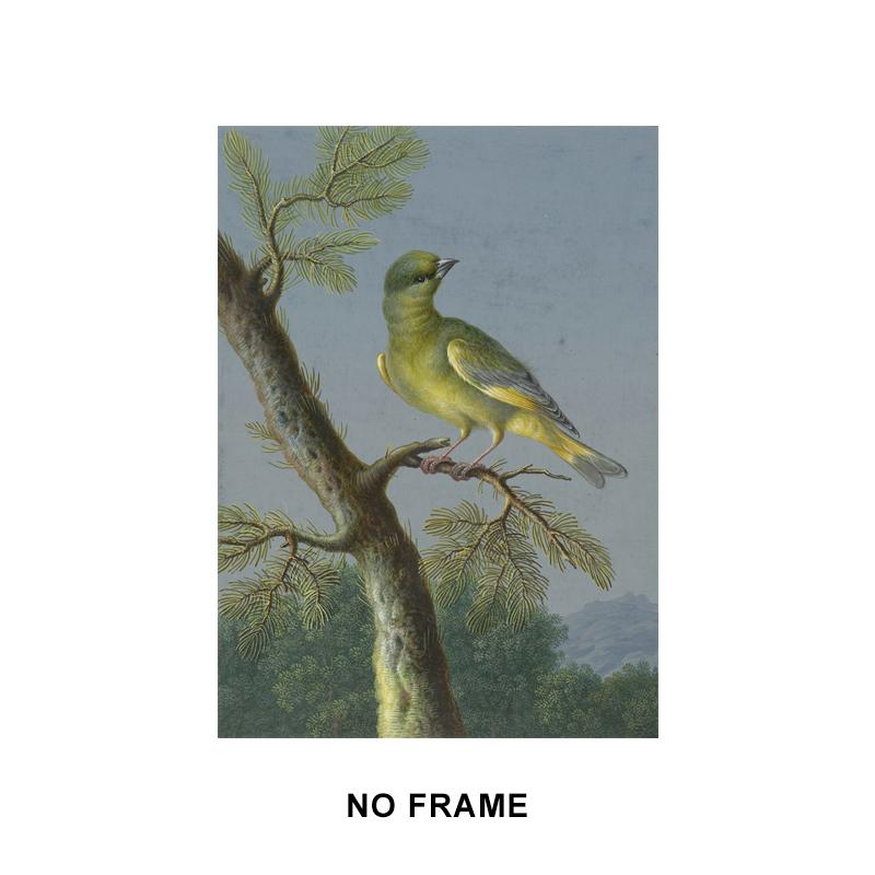 Vintage Animals and Plants Canvas Paintings Flowers Owl Birds Parrot Flamingo Wall Art Poster Pictures Print Living Room Decor