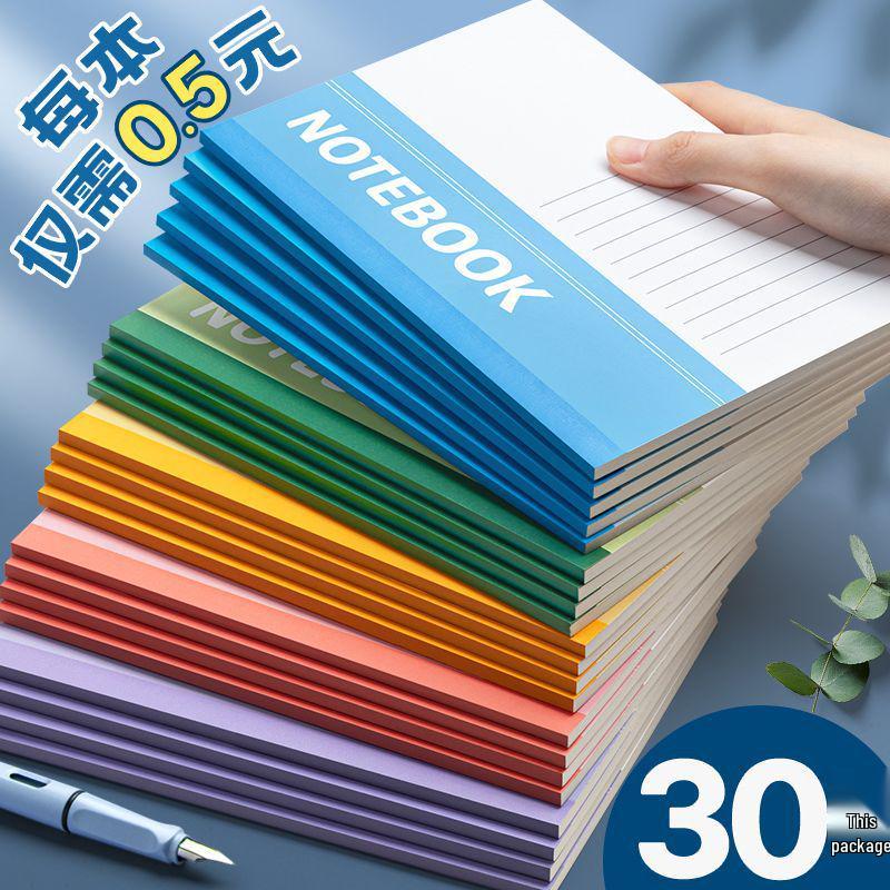 Thickened Ordinary Diary Notebook for Adults