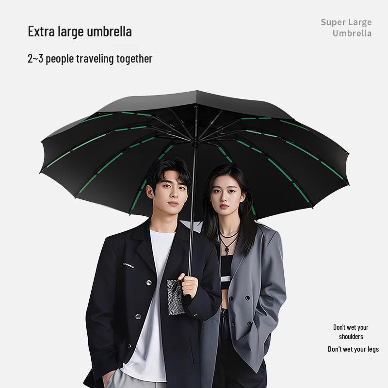 Hanyou Fully Automatic All-Weather Umbrella