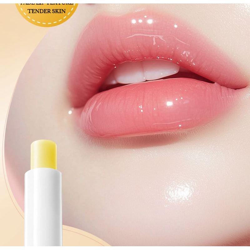 BIOAQUA - Anti Cracking Lip Balm - 4 Types