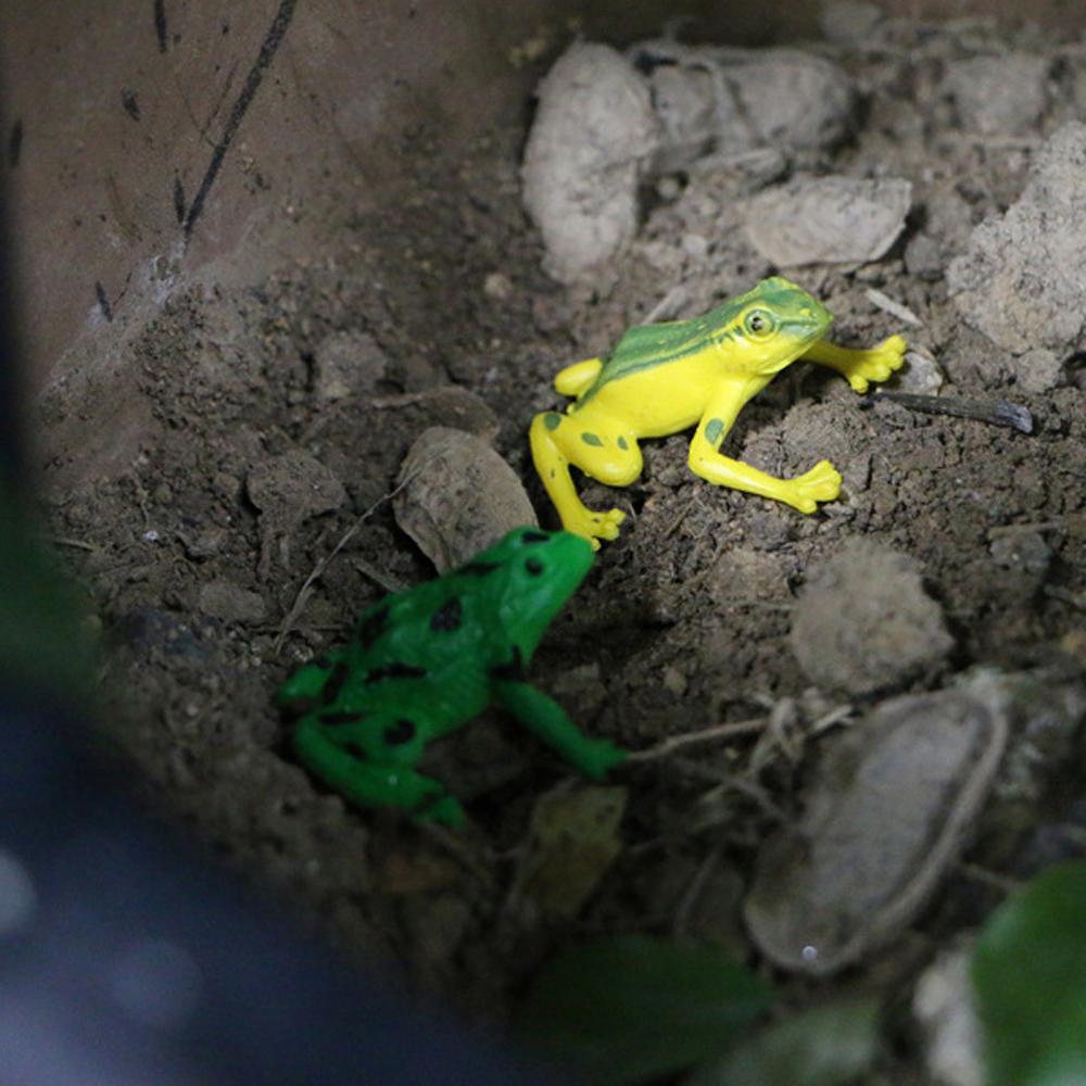 Character Figure Fun Toys Colorful Realistic Frog Action Figures Frogs Model Toys Assorted Frog