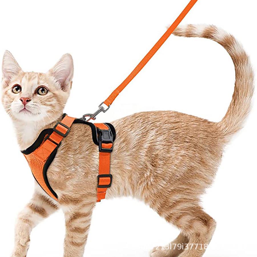 Reflective Cat & Small Dog Breathable Anti-Breakaway Chest Harness with Walking Rope