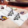 Free Adjustment of Spacing Butterfly Spreading Board Specimen Suite Insect Mounting Plastic Display Case Pinning Kit