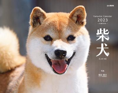 Kalender 2023 Shiba Inu (Monatsumblätter/Wandbehang) (Yamakei-Kalender 2023)