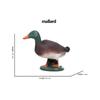 Kiwi Bird Jungle Animals Figures Peacock Phoenix Mallard Turkey Toucan Action Figure Toy Animal Figurines Toys for Kids Gifts