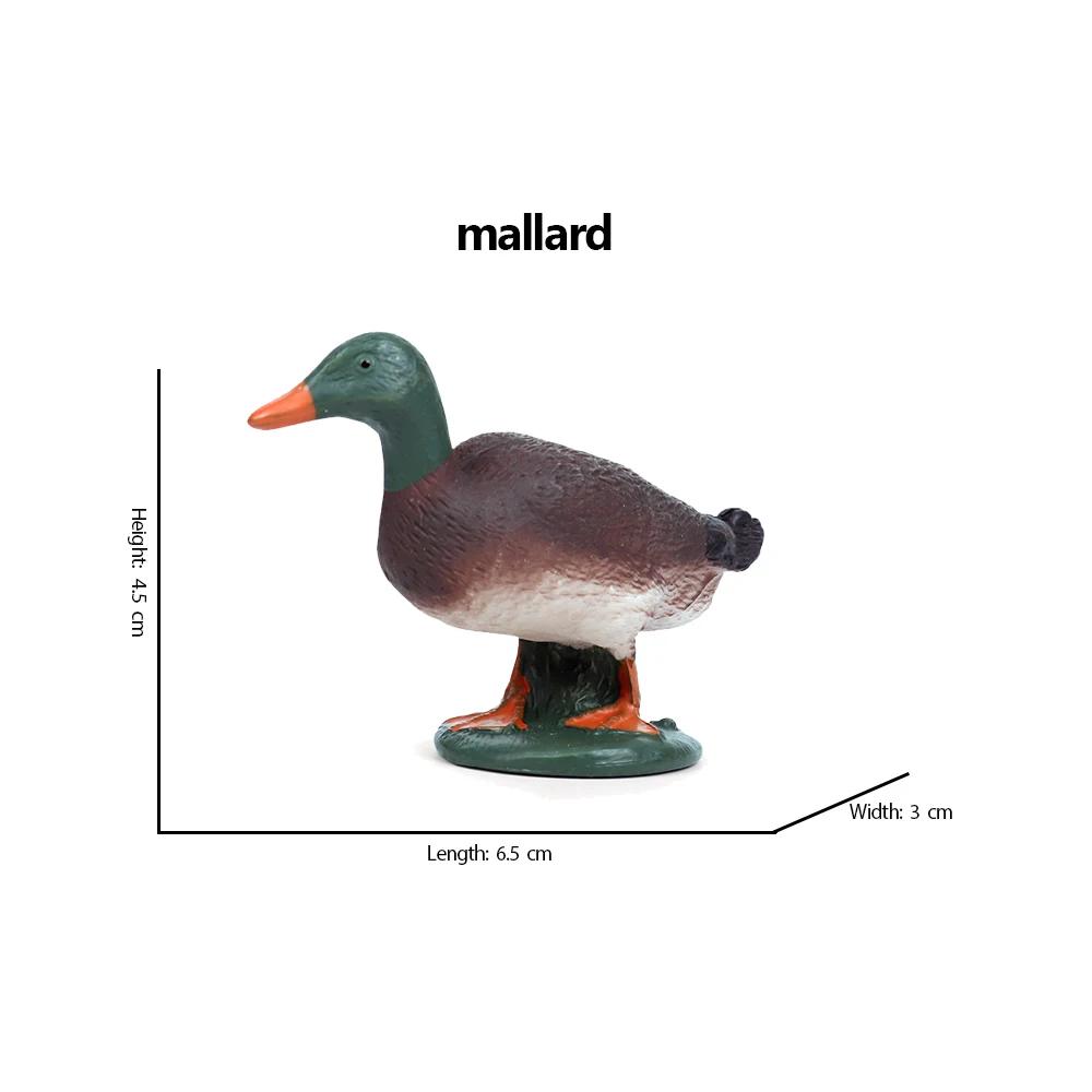 Kiwi Bird Jungle Animals Figures Peacock Phoenix Mallard Turkey Toucan Action Figure Toy Animal Figurines Toys for Kids Gifts