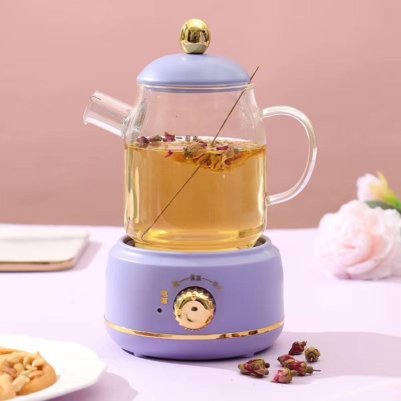 0.4-0.6L Health Pot, Office Small Tea Maker, Household Mini Health Cup, Tea Stove, Flower Boiling Tea Pot 220V