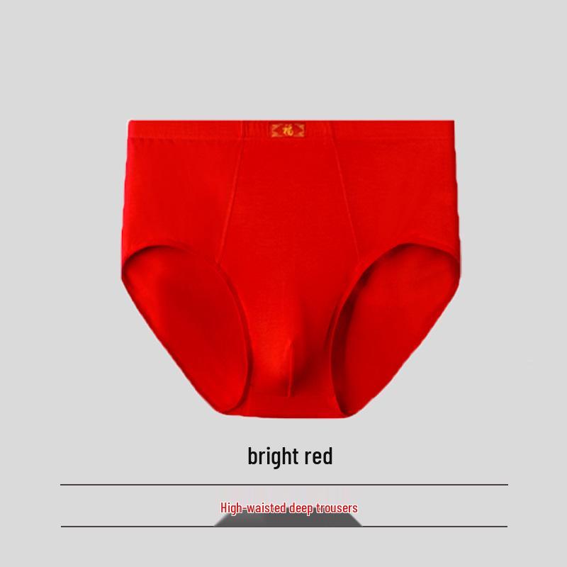 Pánské trojúhelníkové slipy z modalu s vysokým pasem - Prodyšné, volný střih pro střední věk a starší