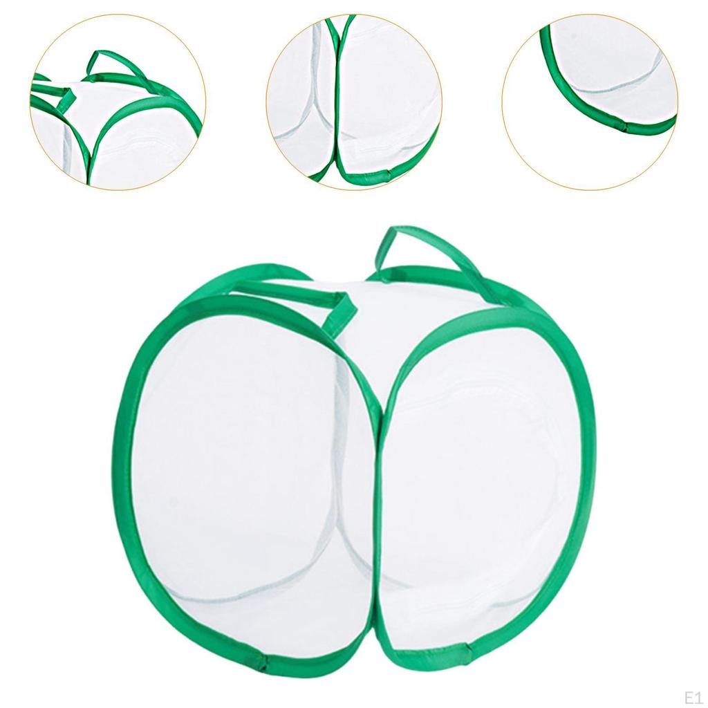 Klatka do łapania motyli Pudełko do uprawy sadzonek do ogrodu zewnętrznego na podwórko