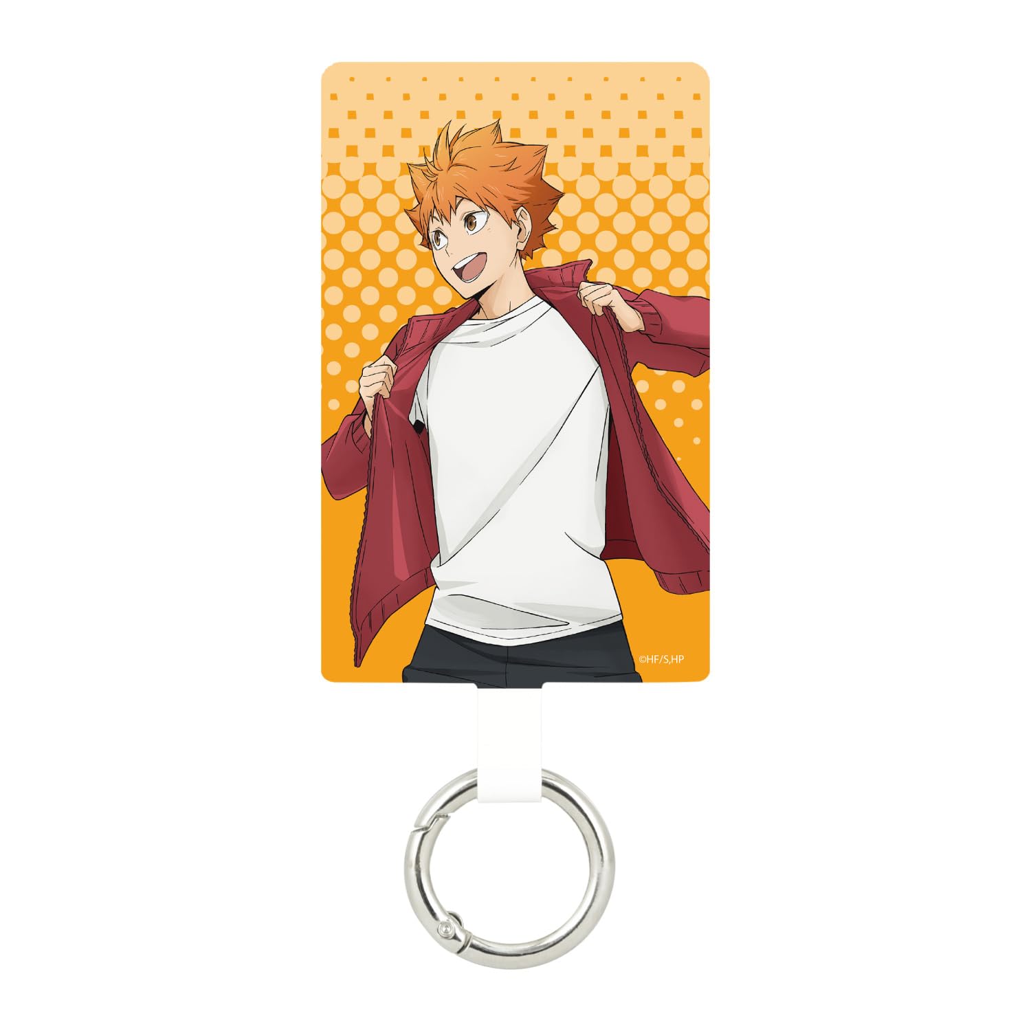 Гурмандии Haikyu!! Многоколечный Плюс Большой Хюга Сёё BHIK-15A