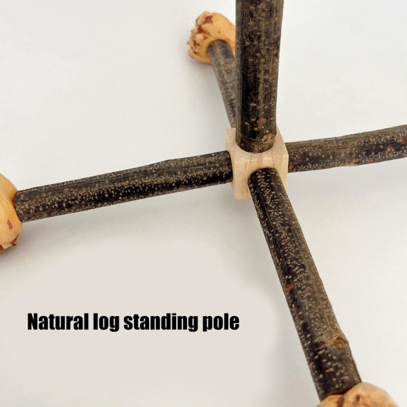 Bird Perch Nature Molar Stand for Parrots Conure Supplies Budgies Grinding Scratchers for Small Medium Parrots Toy