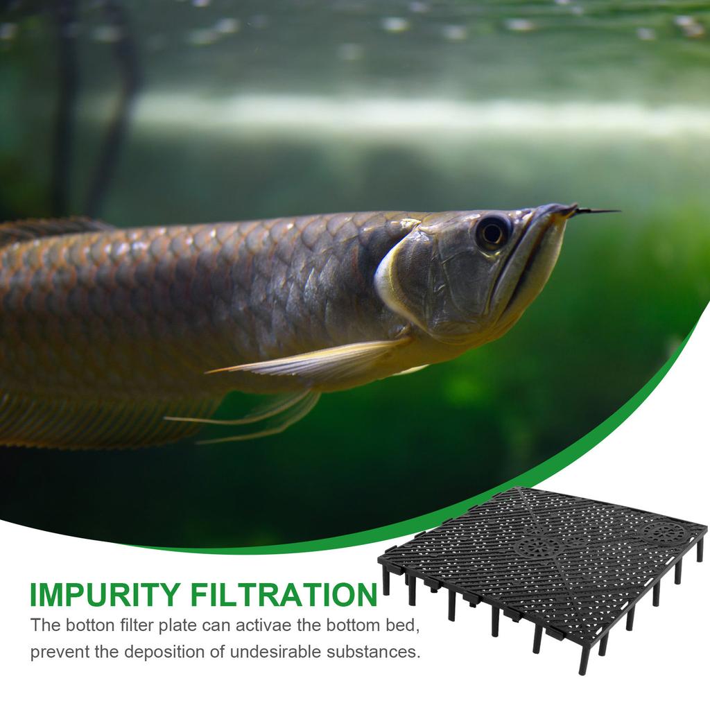 20Pcs Aquarium Bottom Filter Plate PVC Tough Submerged Design Easy Snap-in Installation Splicing Fish Tank Grid for Large Dragon