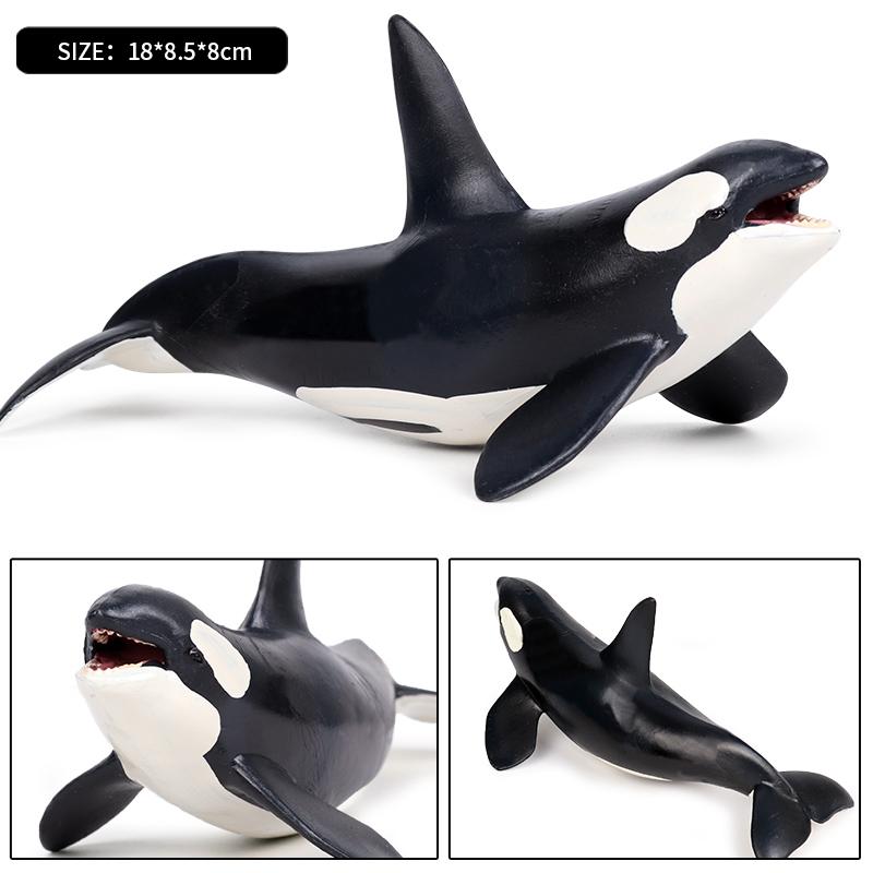 Oenux Ocean Animal Savage Megalodon Beluga Big Shark Orca Sperm Blue Whale Action Figures Sea Life Model Educational Kids Toy