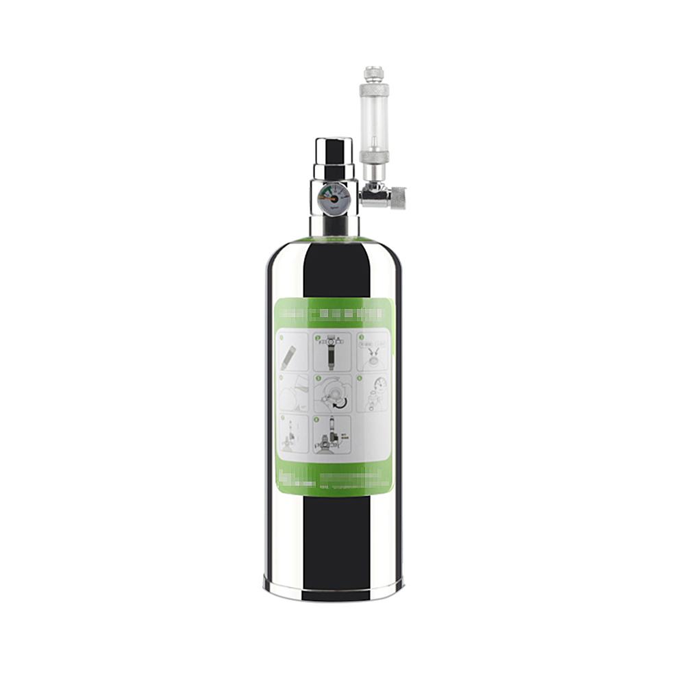 2L Doppelaquarium CO2-Generator System Kit CO2 Edelstahlzylinder Generator System Kohlendioxid Reaktor Kit für Pflanzen Aquarium