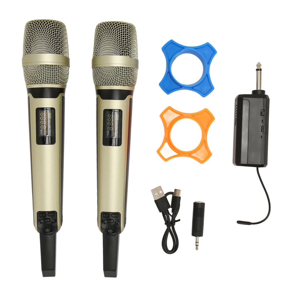 Wireless Microphone System Professional 1 for 2 Handheld Dynamic Mic System with Receiver and LCD