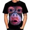 Animal T Shirt For Men 3D Printed Design Spoof Gorilla Funny Monkey Women T-Shirt Pout Monkey Children Short Sleeve Sweatshirt