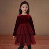 Hacikis Girls' Velvet Princess Tiered Dress with Fleece Lining