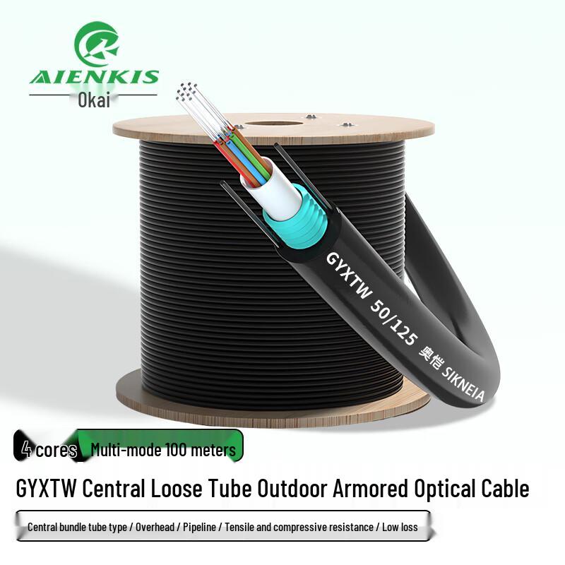 

AIENKIS Outdoor Armored Multimode Fiber Optic Cable 4-Core 100m