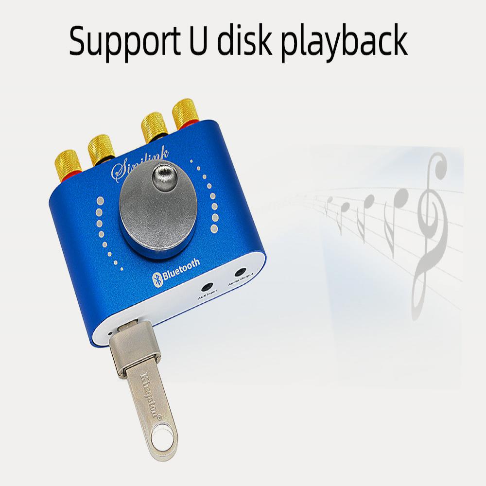 Mini Amplifier Bluetooth 5.0 Digital Audio Power Class D HiFi Stereo 200W*2 12V/24V Home Car USB Music Sound Card AMP Speaker