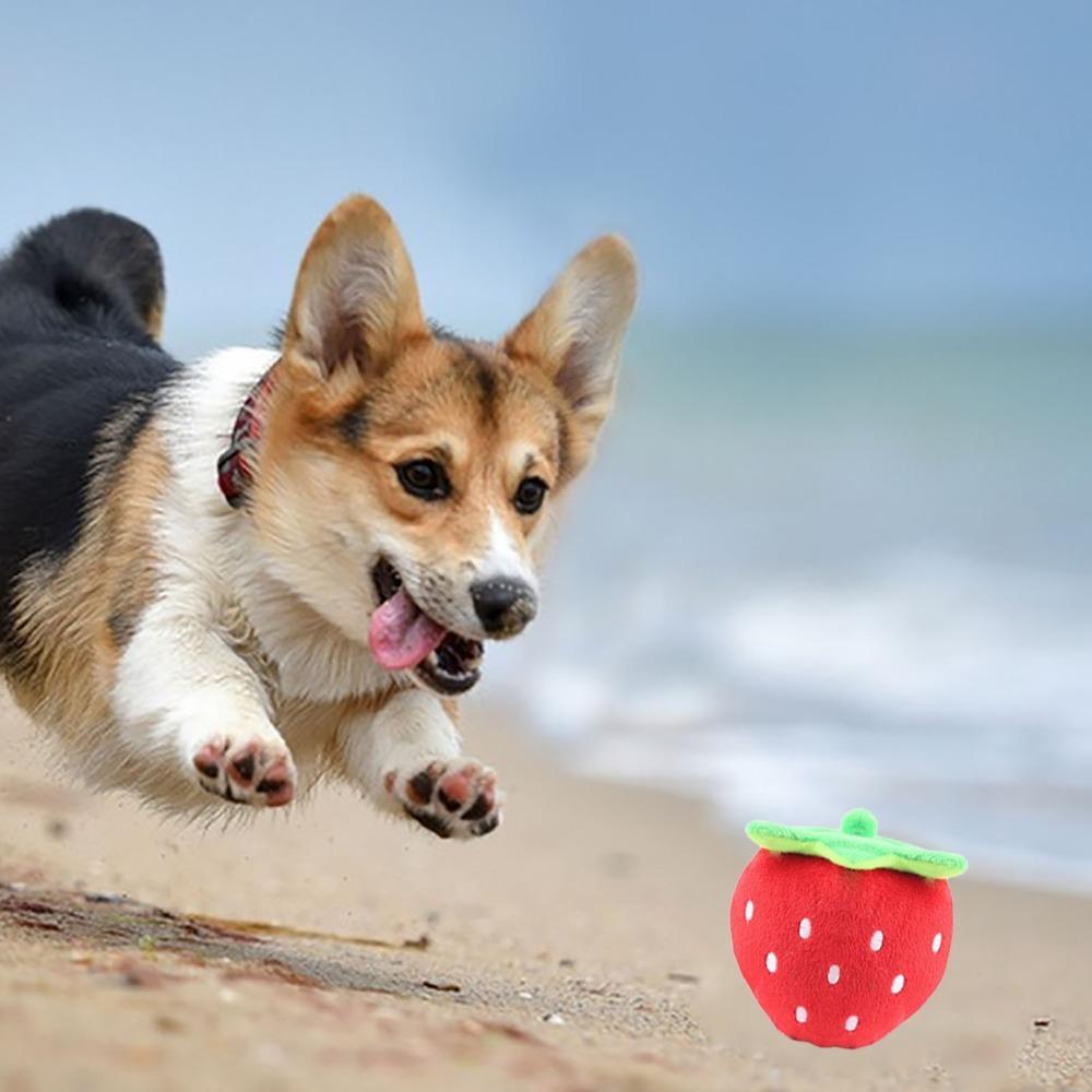 Weicher Plüschstoff Plüschhundespielzeug Stickmuster Erdbeer-Hundespielzeug Heimunterhaltung