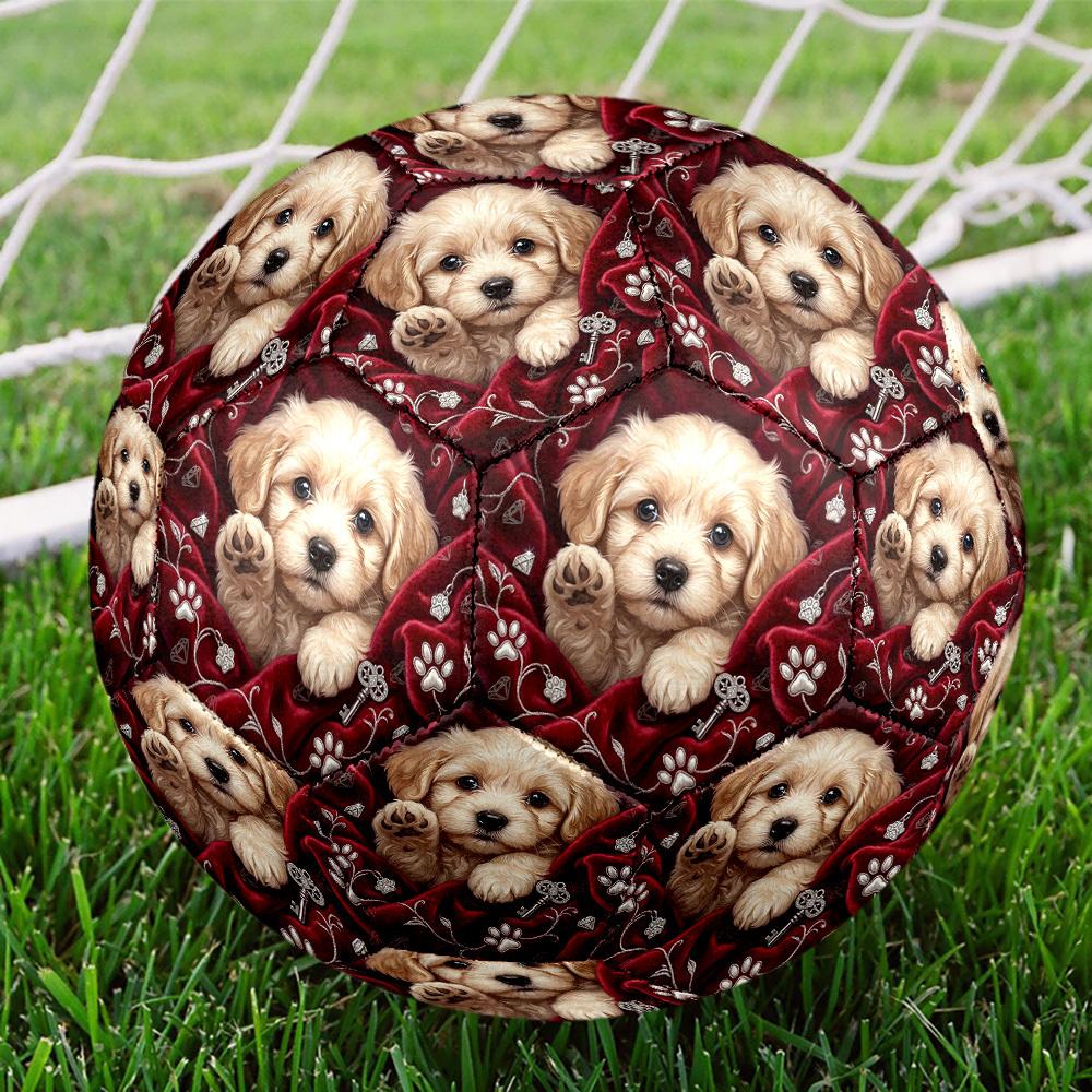 1pc Paw Prints Keys Size 5 Soccer Ball Professional Lightweight Durable Match Training Football Indoor &Outdoor Sports BallTraining Ball y80