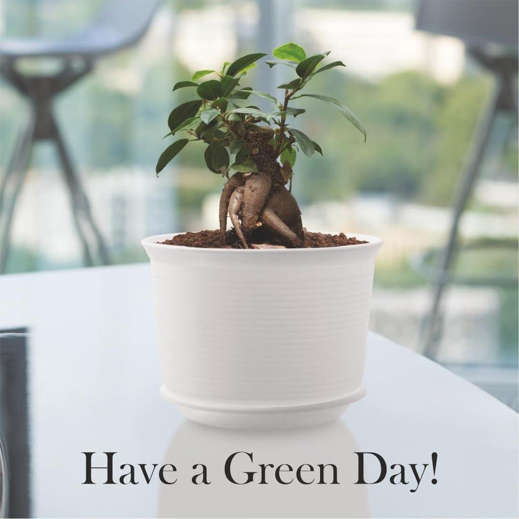 10 Zoll Runde Kunststoff-Blumentöpfe mit Untersetzern für Heim-Pflanzgefäße, Terrasse, Garten usw. | Weiß | für Zimmer- & Gartenpflanzen | 5 Stück |