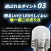 Takenous Takemura Shokai S25 LED Single White Luminous Lucent Bulb