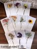 Handmade Dried Flower Greeting Card for Mother's Day, Thanksgiving, Birthdays & More
