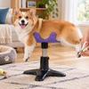 Adjustable Height Dog Grooming Stand Compact Heavy Duty Pet Grooming Bench Sturdy Portable Dog Assist Stand Dog Grooming