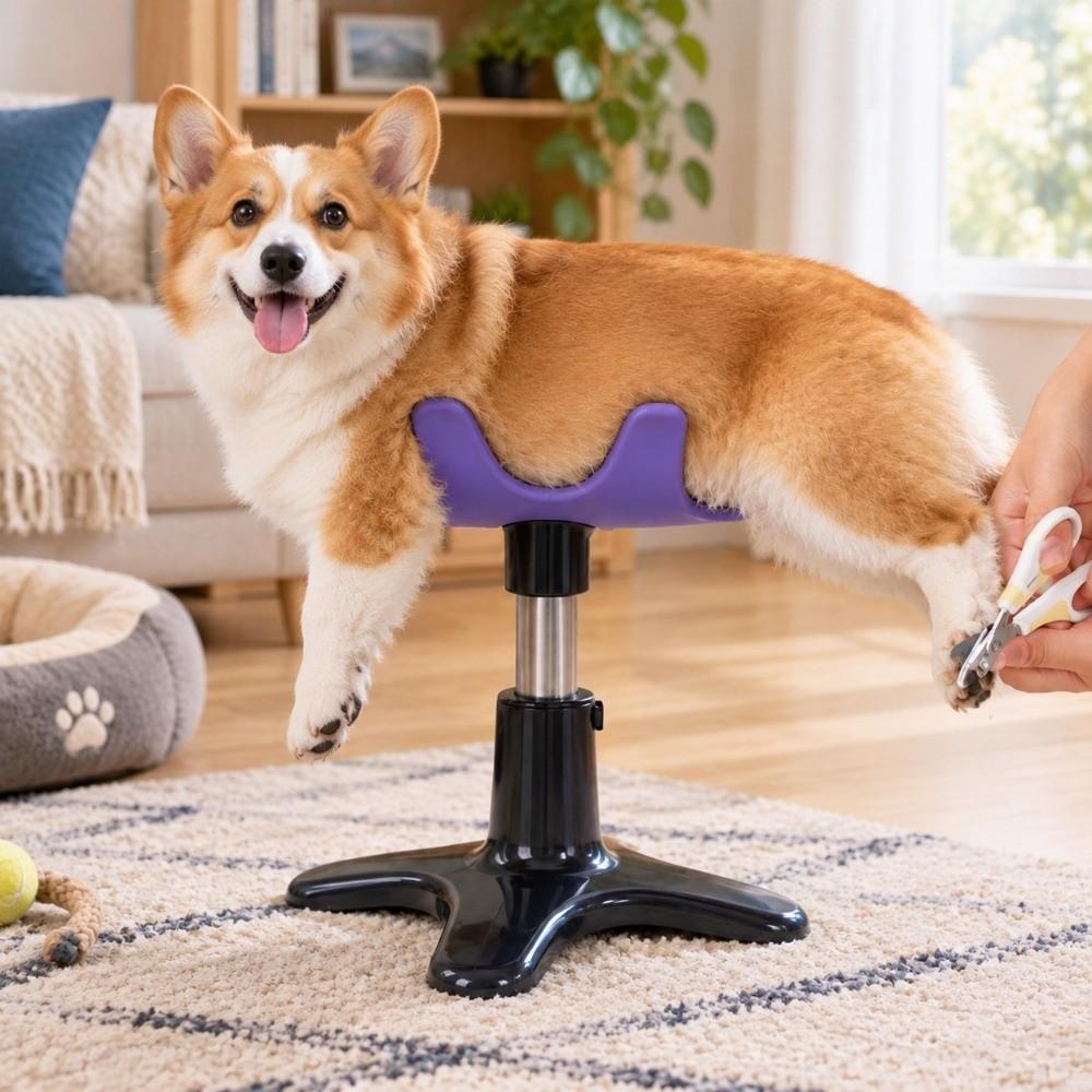 Adjustable Height Dog Grooming Stand Compact Heavy Duty Pet Grooming Bench Sturdy Portable Dog Assist Stand Dog Grooming