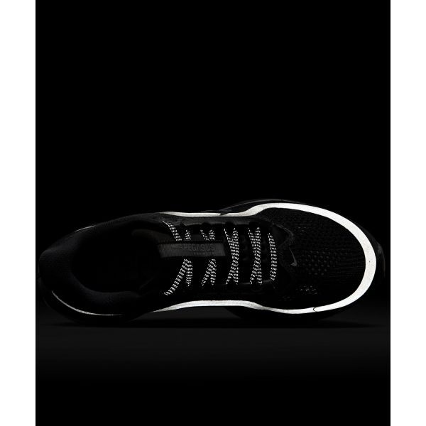 Nike Dámské tenisky Pegasus Premium Black Metallic Silver HQ2593-004