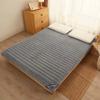 Winter atmungsaktive komfortable Studentenwohnheim Bett Matratze Topper warme Anti-Milben Plüsch Matratze weiche verdickte Bettwäsche Matte