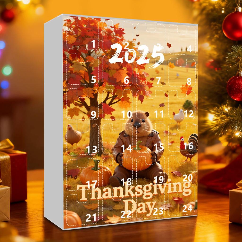 2D Advent Calendar 24 Days Countdown Calendar With Musical Character Collectibles, Advent Calendar