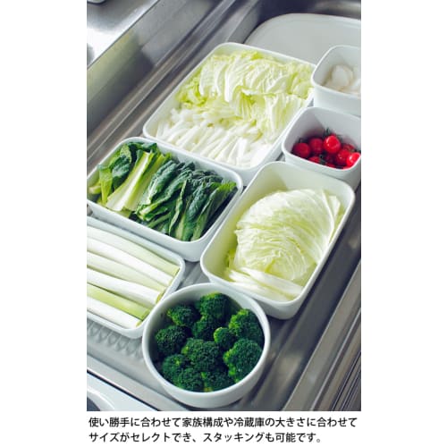 Nodahoro Enamel Storage Container, Heat-Resistant, Square, Rectangular, Deep, Small, with Seal Lid, See-Through, White Series, WRF-S, Made In Japan