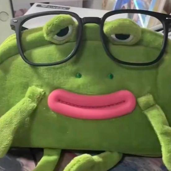 Pencil Bag Frog Wearing Glasses Design Plush Cloth Pencil Pouch Large Zipper Opening Stationery Organizer