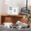 Paw Print Kit for Dogs & Cats, Pet Paw Impression Gift Set with 2 Inkless Pads and Reversible Stand/Wall-Mount Frame (White)