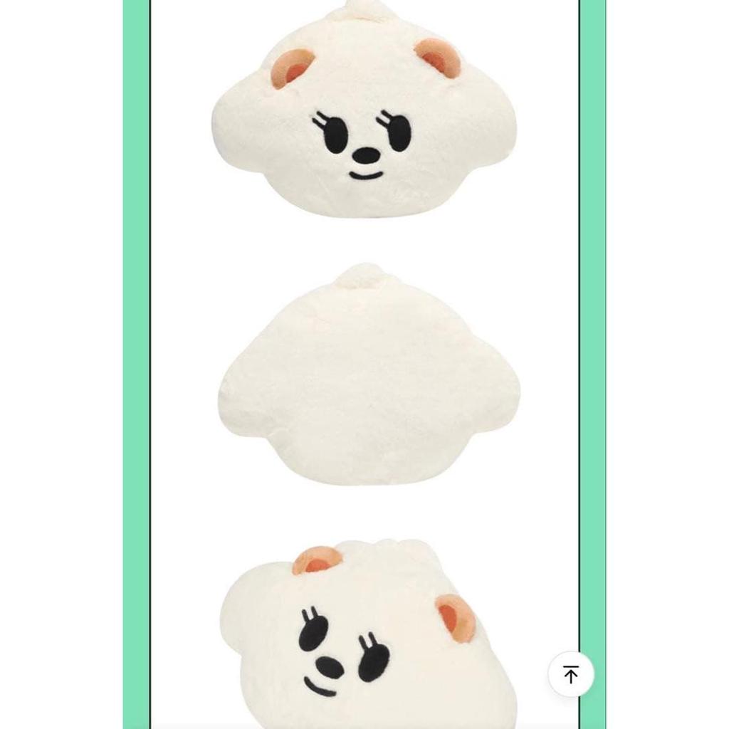 Used txt BAMGEUT [PPULBATU]FACE CUSHION