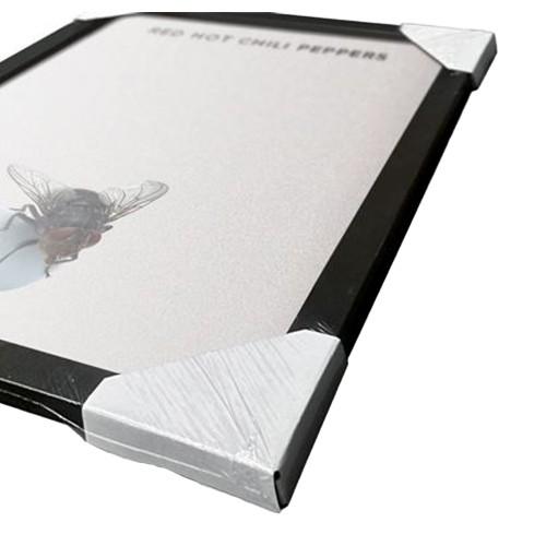 Red Hot Chilli Peppers I´m With You Framed Poster