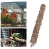 Grinding Perches Bird Teeth Grinding Bird Stand Holder Hamster Branch Pet Toy Bird Cage Accessories