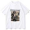 Fleetwood Mac Stevie Nicks 2025 Music Fans Gift Oversized Tshirt Regular Oneck Unisex Casual Summer Printing Vintage Y2K Tops