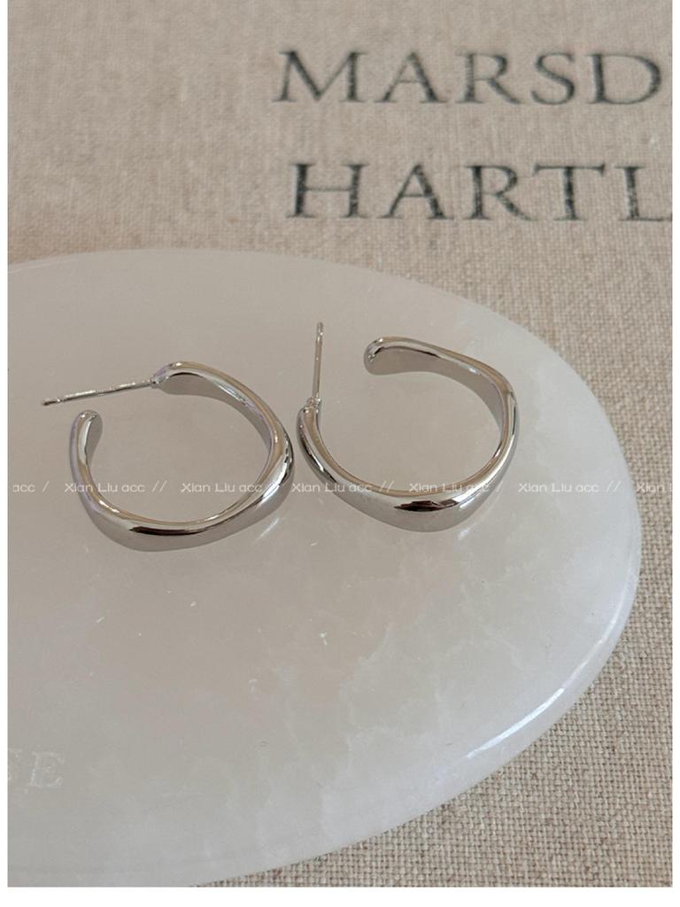 2025 High-End Light Luxury Metal Hoop Earrings - Unique Feminine Style