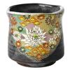 Kutani Ware Yunomi Tea Cup "Gold Hanazume" Pattern Hand-crafted Japanese Porcelain with Box
