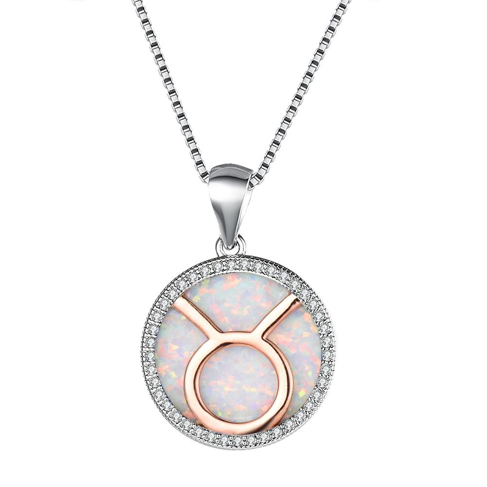 Necklace European and American 12 Constellation Necklace