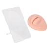 Simulated 3D Mouth Model Piercing Practice Silicone Mouth Model with Acrylic Stand for Jewelry Display Light Skin Color