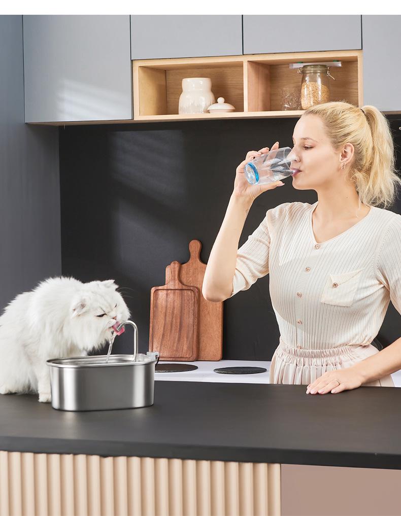 Fontaine à eau automatique pour chat en acier inoxydable de 3,2 L avec filtration